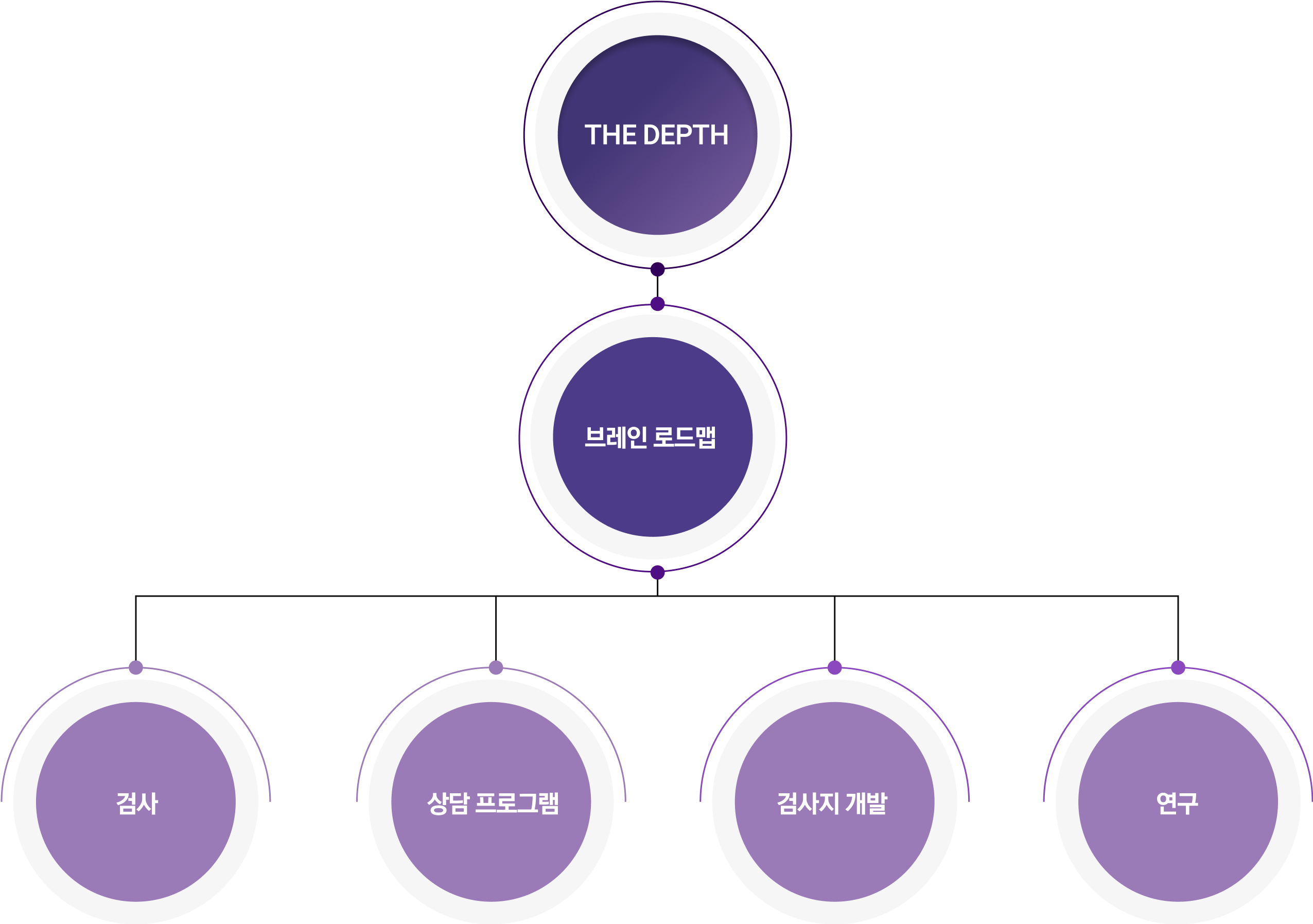 Brain Roadmap