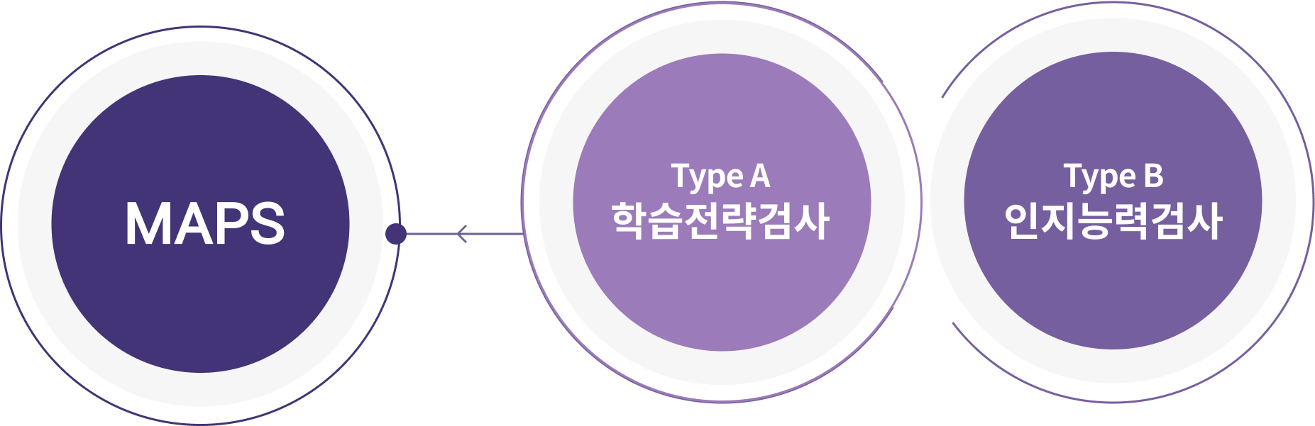 MAPS=Type A 학습전략검사+Type B 인지능력검사