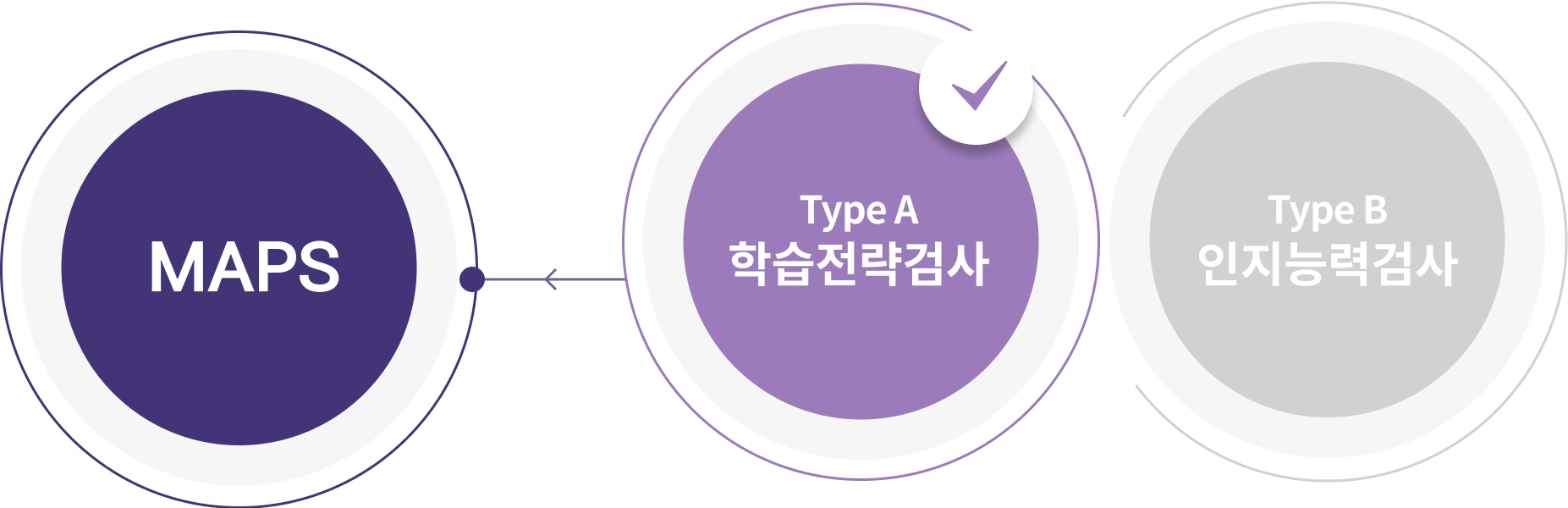 Type A 학습전략검사